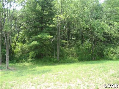 230 Lizard Creek Road Andreas, PA 18211 - Photo 6 of 15 Gallery Image 6