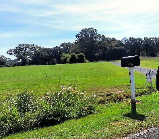4778 Westervelt Road Meggett, SC 29449 - Photo 2 of 6 Bring your horse!