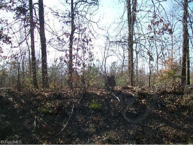 Lot 9 Wicker Lovell Road Randleman, NC 27317 - Photo 1 of 2 Exterior Front.