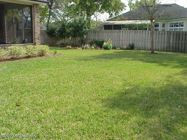 1124 River Birch Road Jacksonville, FL 32259 - Photo 13 of 13 Backyard
