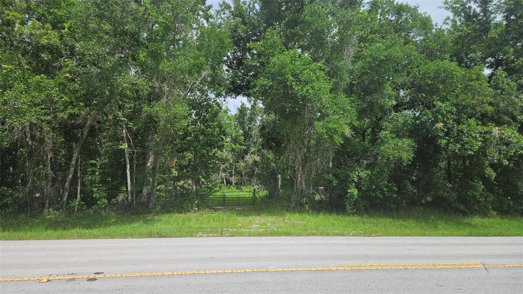 0 Cobb Road Brooksville, FL 34601 - Photo 3 of 4
