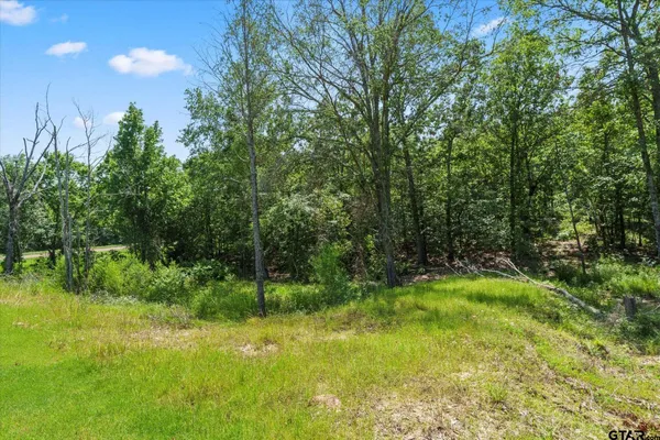 $59,500 | Tbd Tbd Angler Shores Drive, Yantis, TX 75497