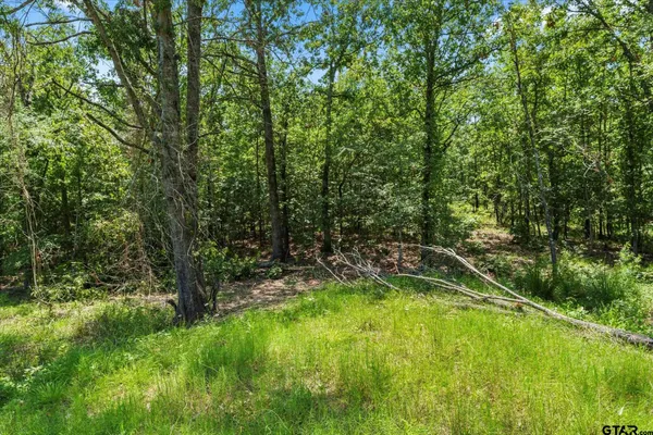 $59,500 | Tbd Tbd Angler Shores Drive, Yantis, TX 75497