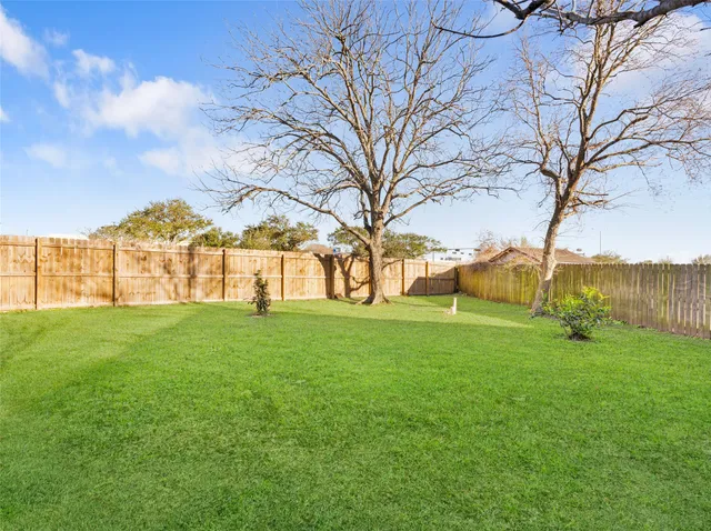 a view of yard with tree s