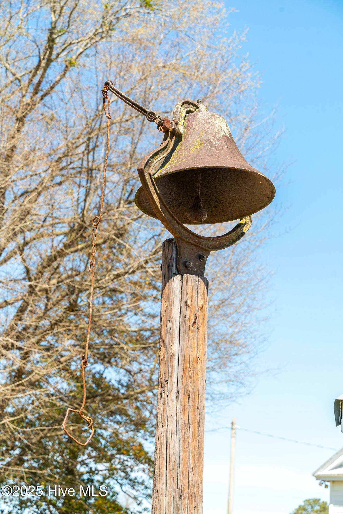 3775 Grifton Hugo Road Grifton, NC 28530 - Photo 30 of 79 20250425 MLS F_Fields 3775 Grifton Hugo