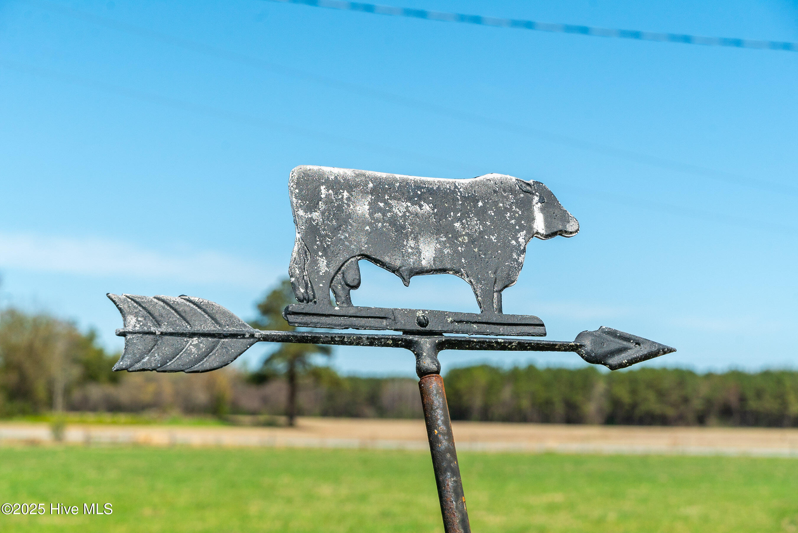 3775 Grifton Hugo Road Grifton, NC 28530 - Photo 31 of 79 20250425 MLS F_Fields 3775 Grifton Hugo