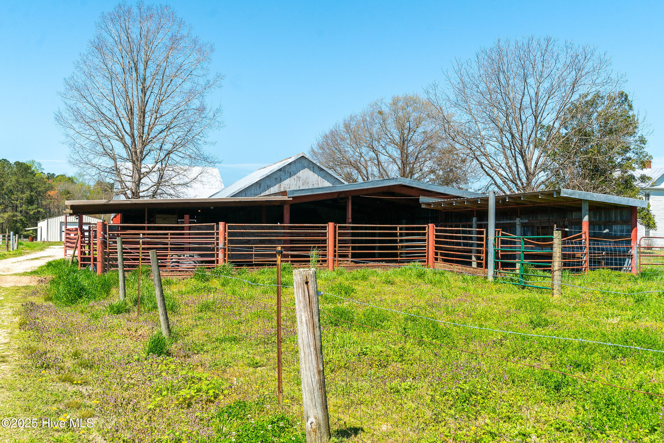 3775 Grifton Hugo Road Grifton, NC 28530 - Photo 39 of 79 20250425 MLS F_Fields 3775 Grifton Hugo