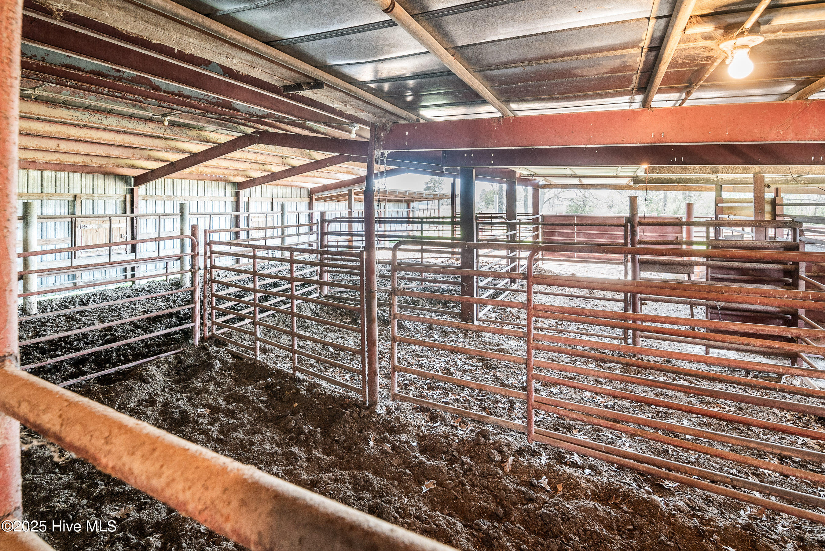 3775 Grifton Hugo Road Grifton, NC 28530 - Photo 43 of 79 20250425 MLS F_Fields 3775 Grifton Hugo