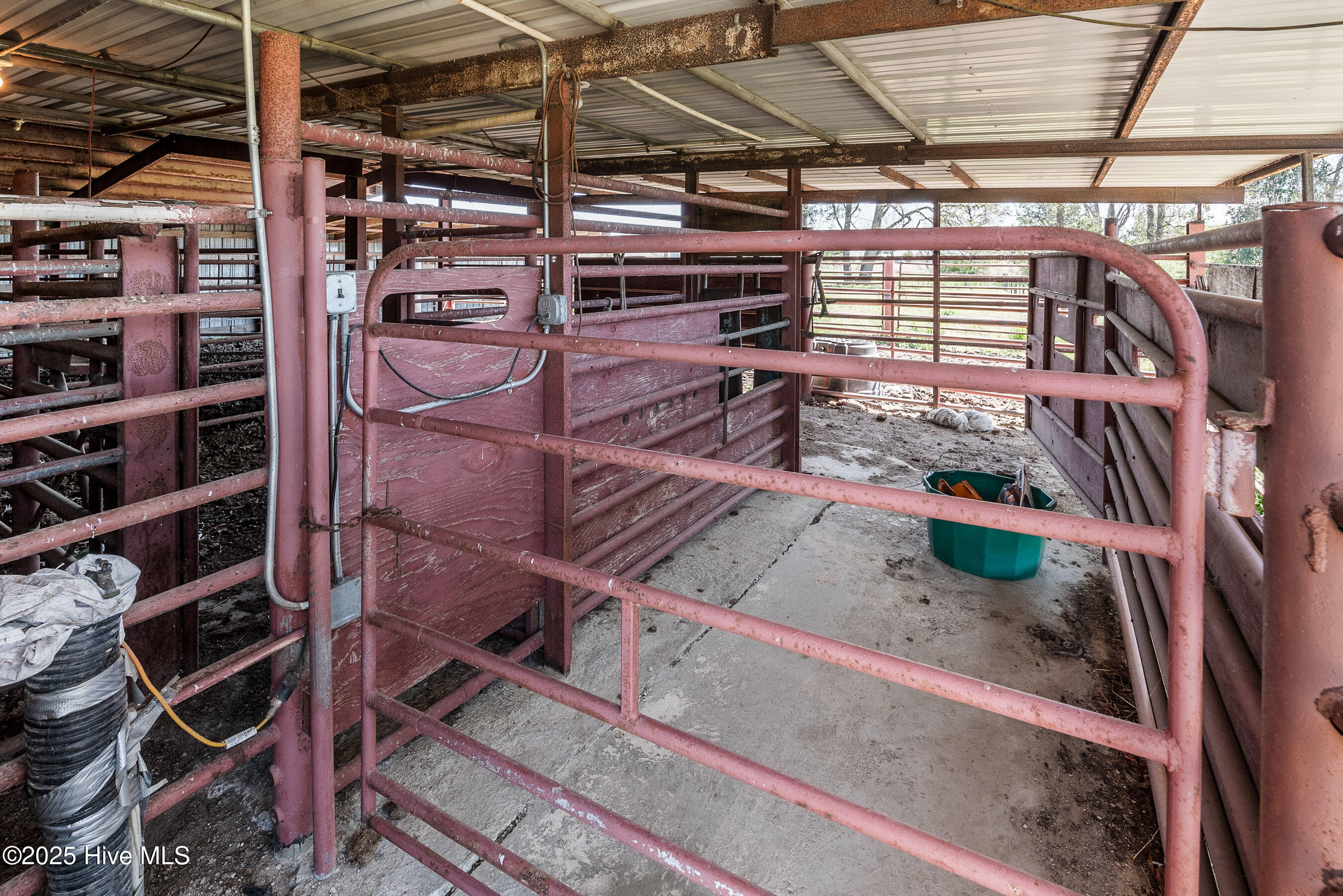 3775 Grifton Hugo Road Grifton, NC 28530 - Photo 44 of 79 20250425 MLS F_Fields 3775 Grifton Hugo