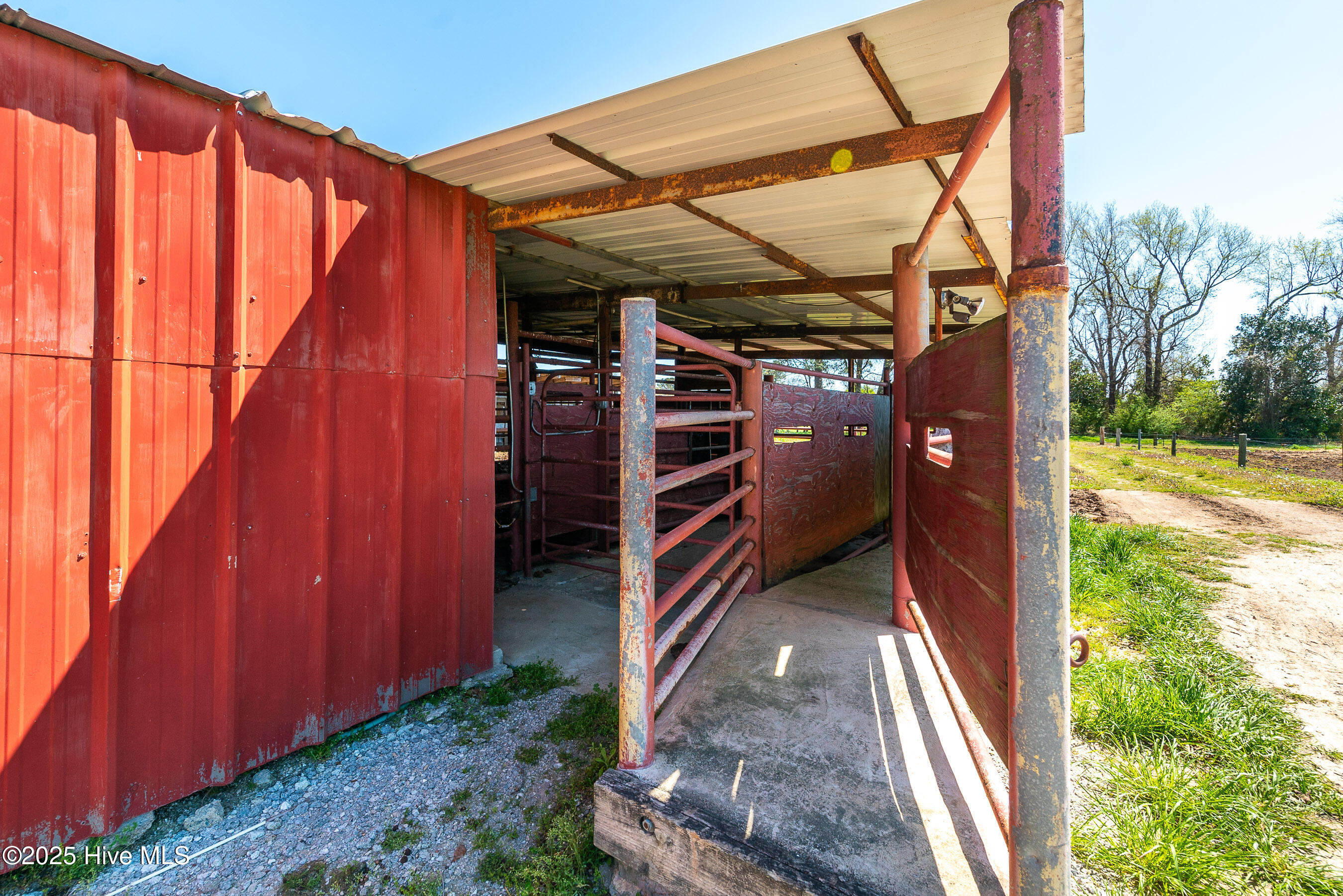 3775 Grifton Hugo Road Grifton, NC 28530 - Photo 45 of 79 20250425 MLS F_Fields 3775 Grifton Hugo