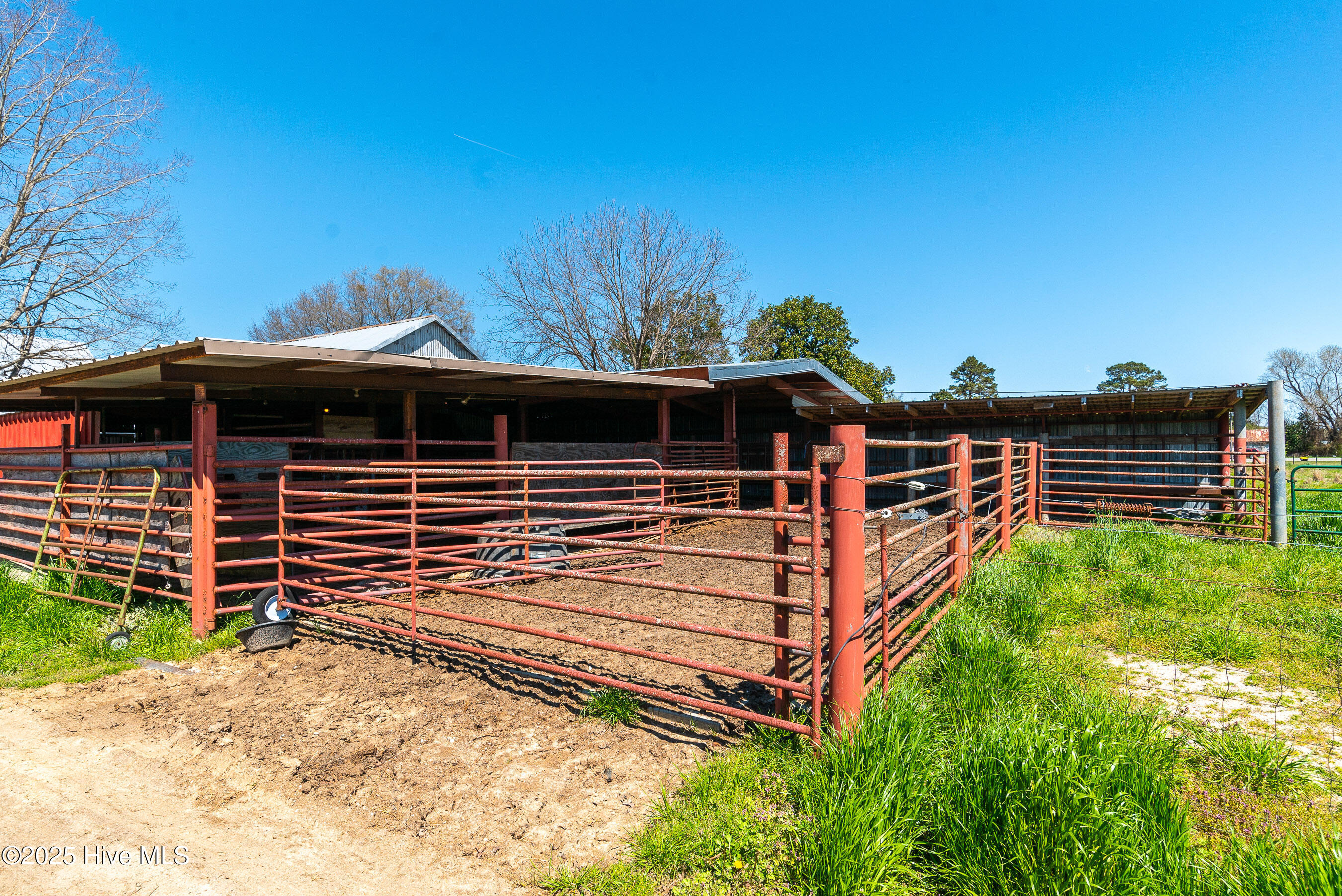 3775 Grifton Hugo Road Grifton, NC 28530 - Photo 46 of 79 20250425 MLS F_Fields 3775 Grifton Hugo
