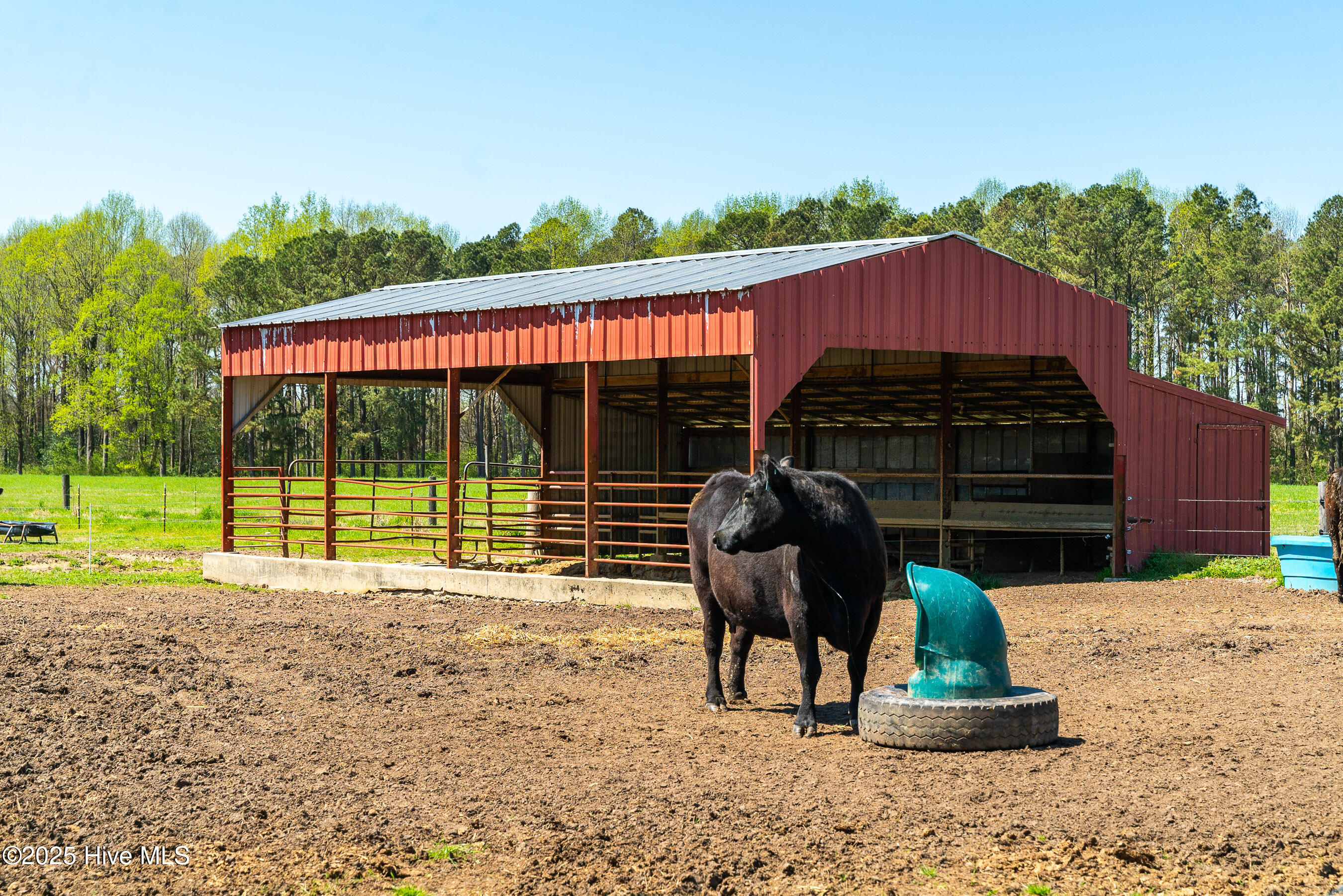 3775 Grifton Hugo Road Grifton, NC 28530 - Photo 47 of 79 20250425 MLS F_Fields 3775 Grifton Hugo