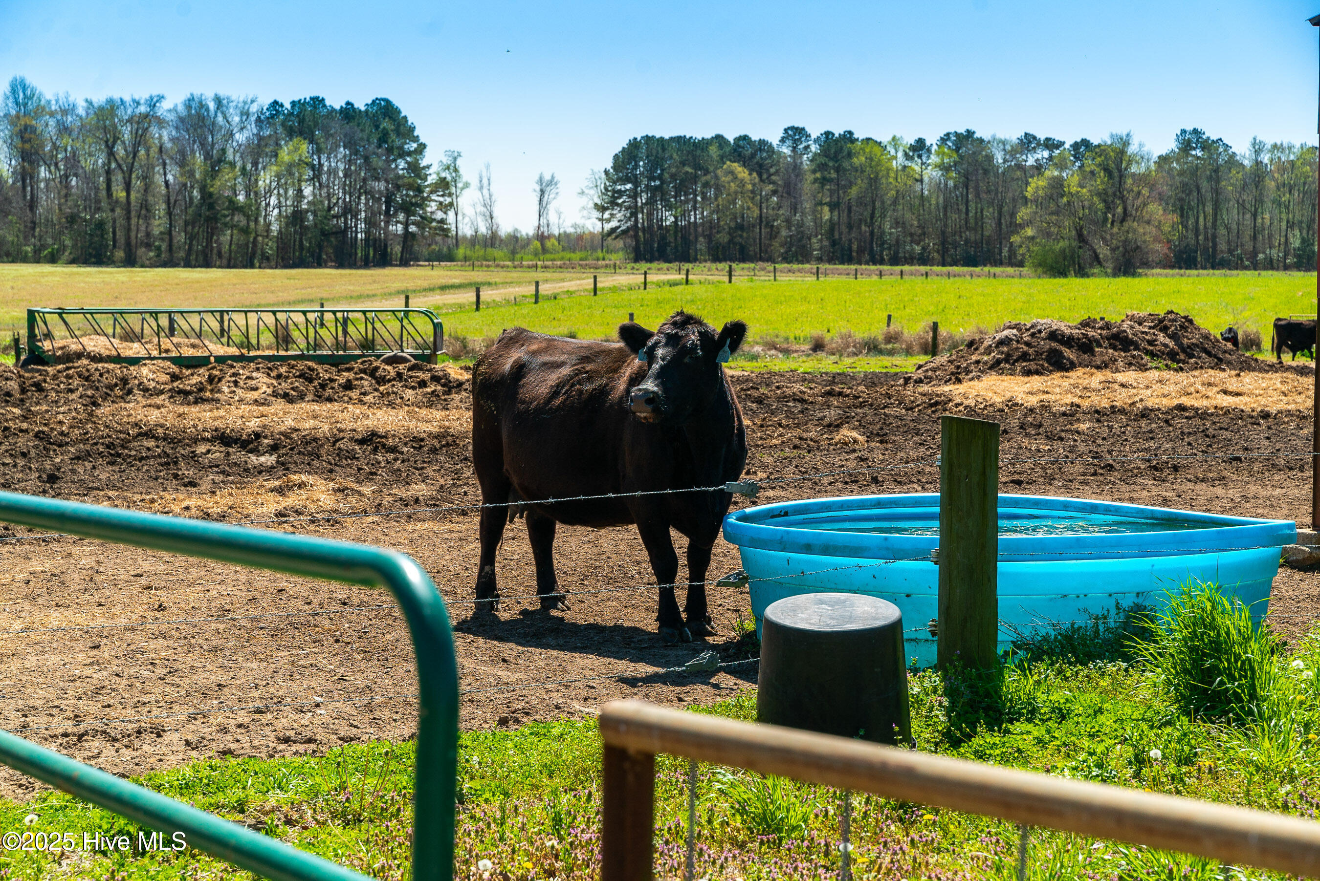 3775 Grifton Hugo Road Grifton, NC 28530 - Photo 48 of 79 20250425 MLS F_Fields 3775 Grifton Hugo