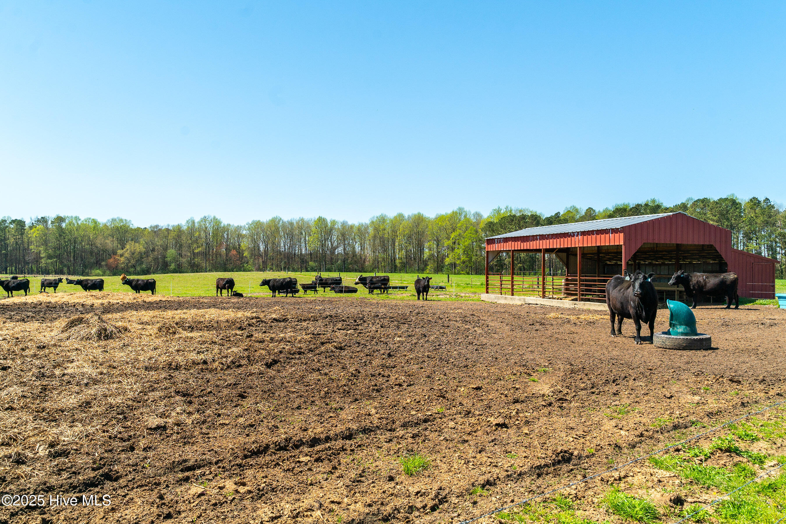 3775 Grifton Hugo Road Grifton, NC 28530 - Photo 49 of 79 20250425 MLS F_Fields 3775 Grifton Hugo