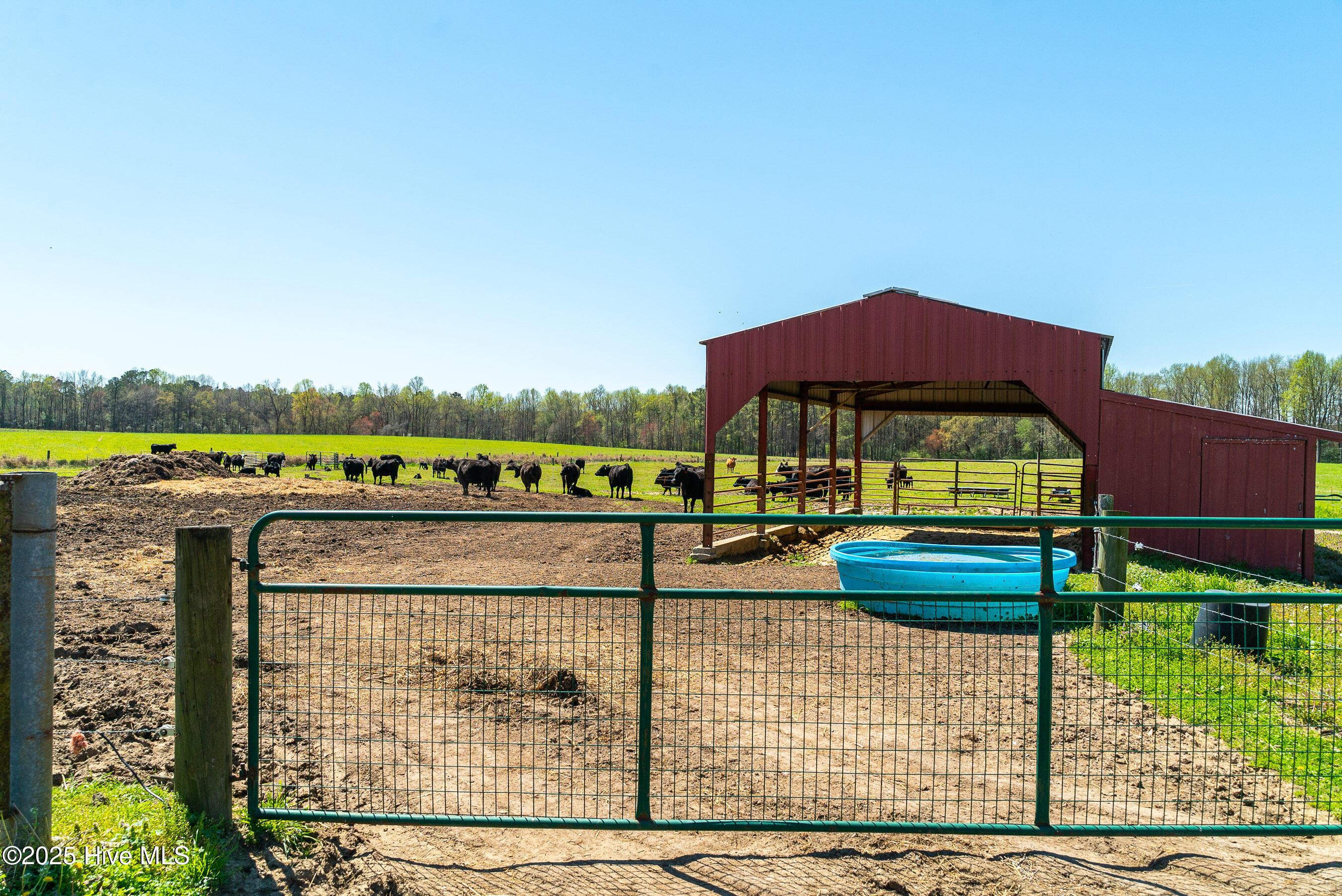 3775 Grifton Hugo Road Grifton, NC 28530 - Photo 50 of 79 20250425 MLS F_Fields 3775 Grifton Hugo