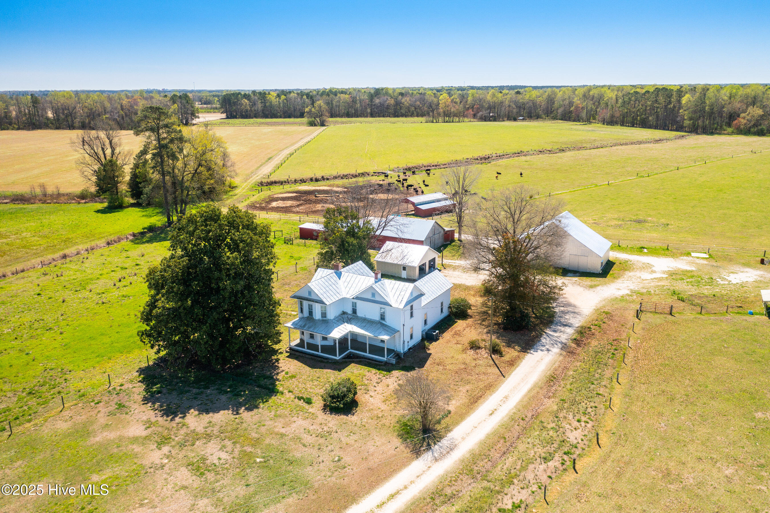 3775 Grifton Hugo Road Grifton, NC 28530 - Photo 70 of 79 20250425 MLS F_Fields 3775 Grifton Hugo