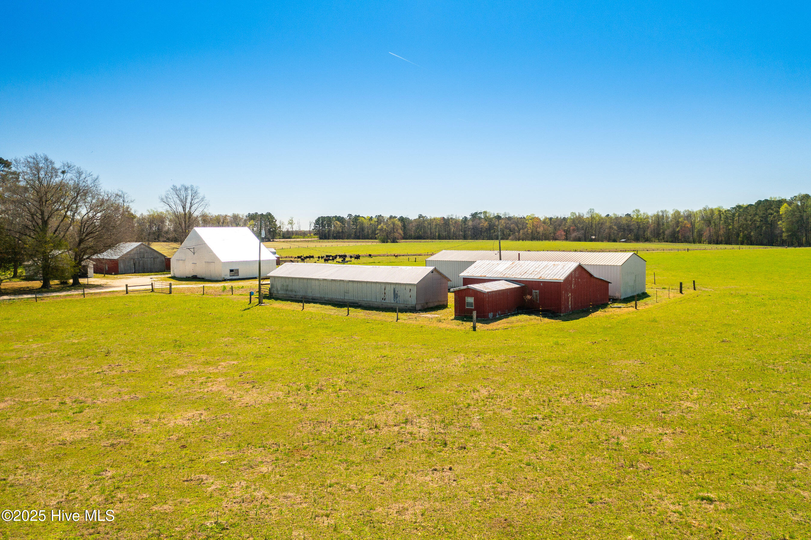 3775 Grifton Hugo Road Grifton, NC 28530 - Photo 75 of 79 20250425 MLS F_Fields 3775 Grifton Hugo