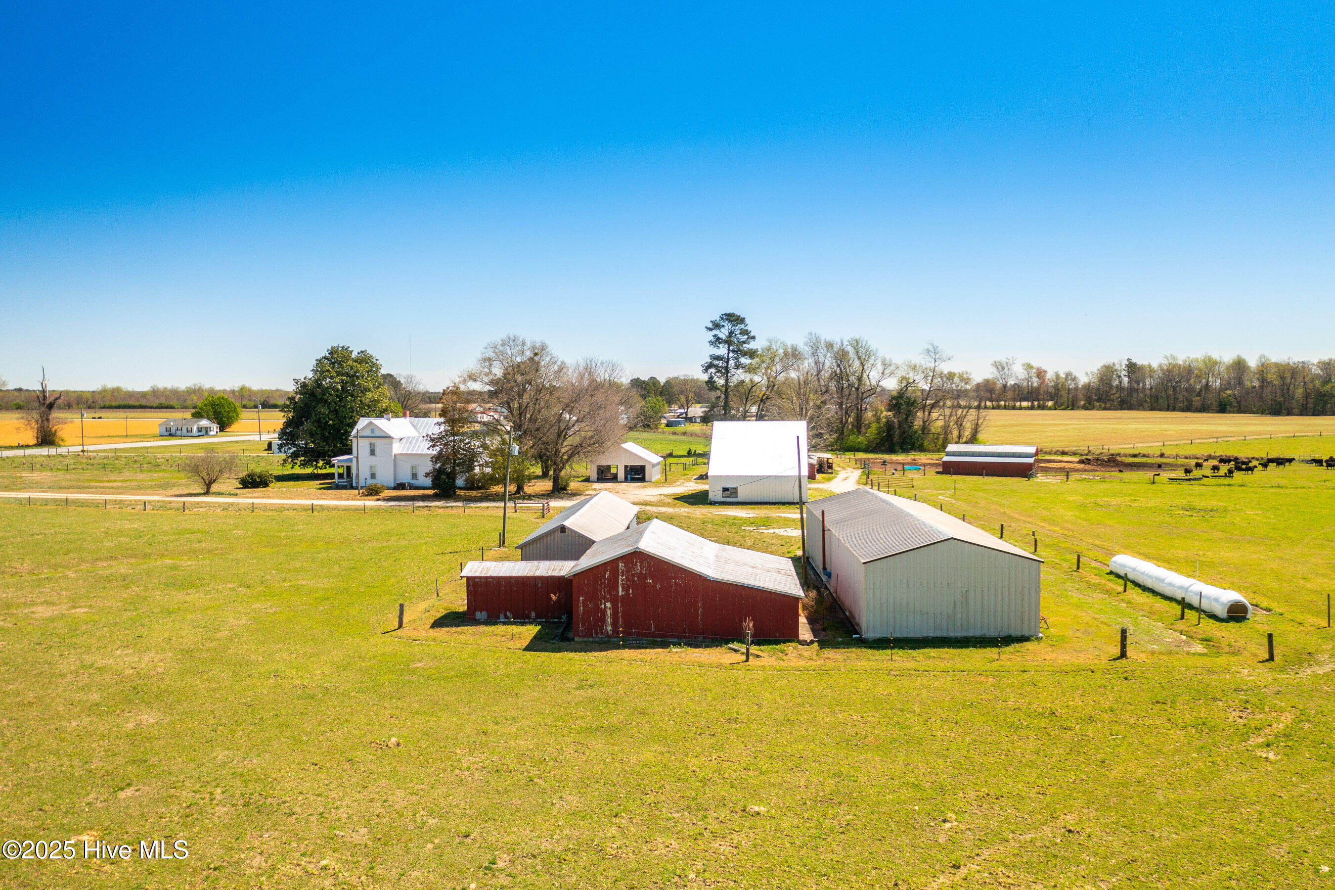 3775 Grifton Hugo Road Grifton, NC 28530 - Photo 76 of 79 20250425 MLS F_Fields 3775 Grifton Hugo