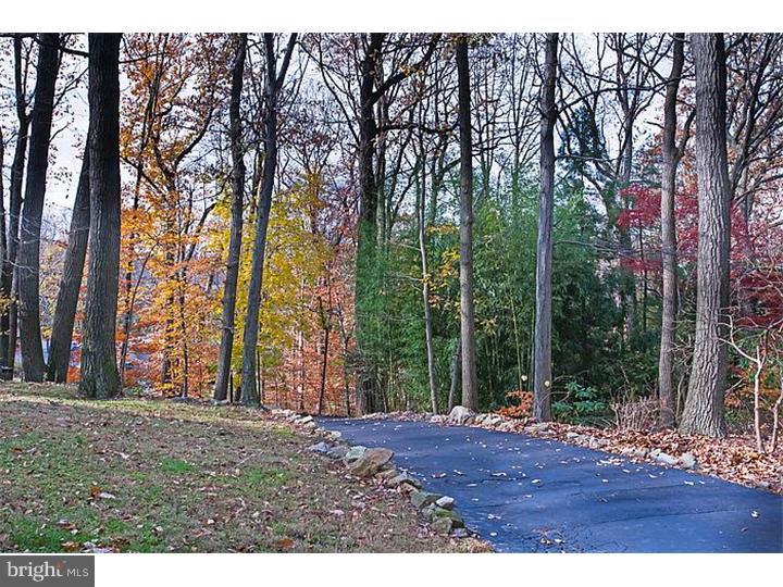 739 Country Club Road Phoenixville, PA 19460 - Photo 20 of 25 Driveway