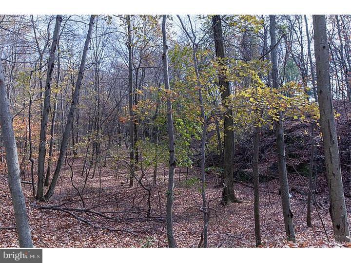 739 Country Club Road Phoenixville, PA 19460 - Photo 23 of 25 Gallery Image 23