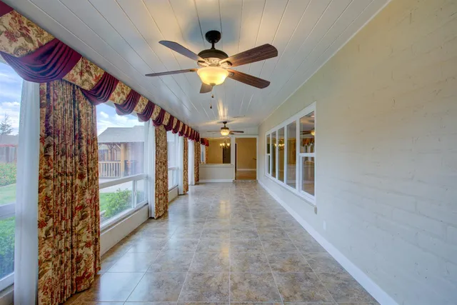 a view of a garden with plants and trees