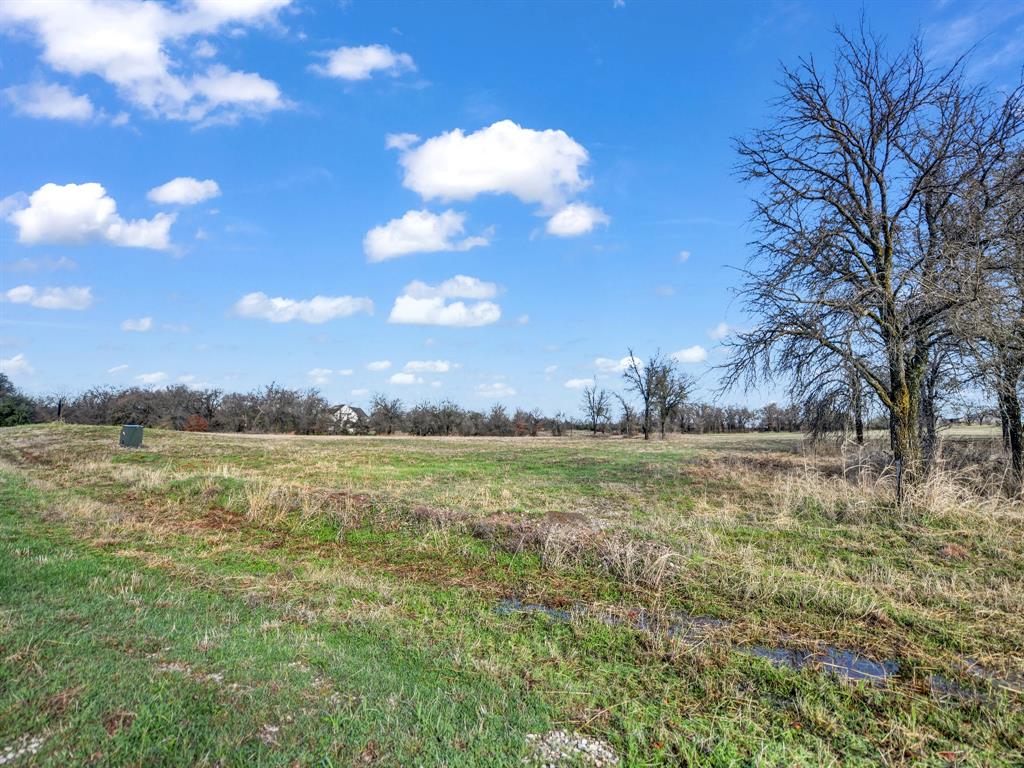 108 Rona Street Weatherford, TX 76088 - Photo 5 of 22