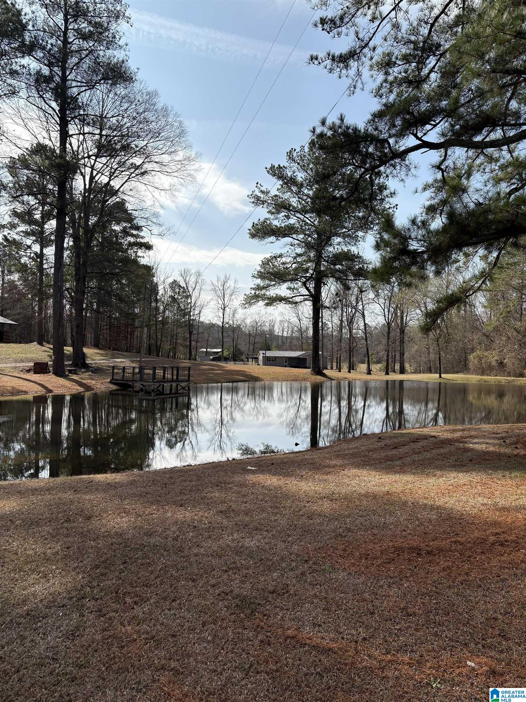 174 Mountain Road Ohatchee, AL 36271 - Photo 13 of 30