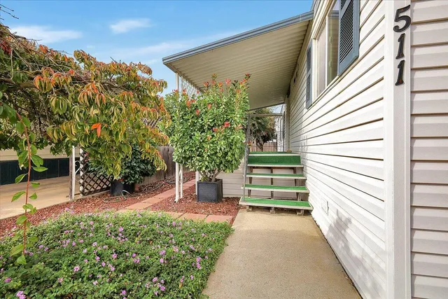 a view of a backyard