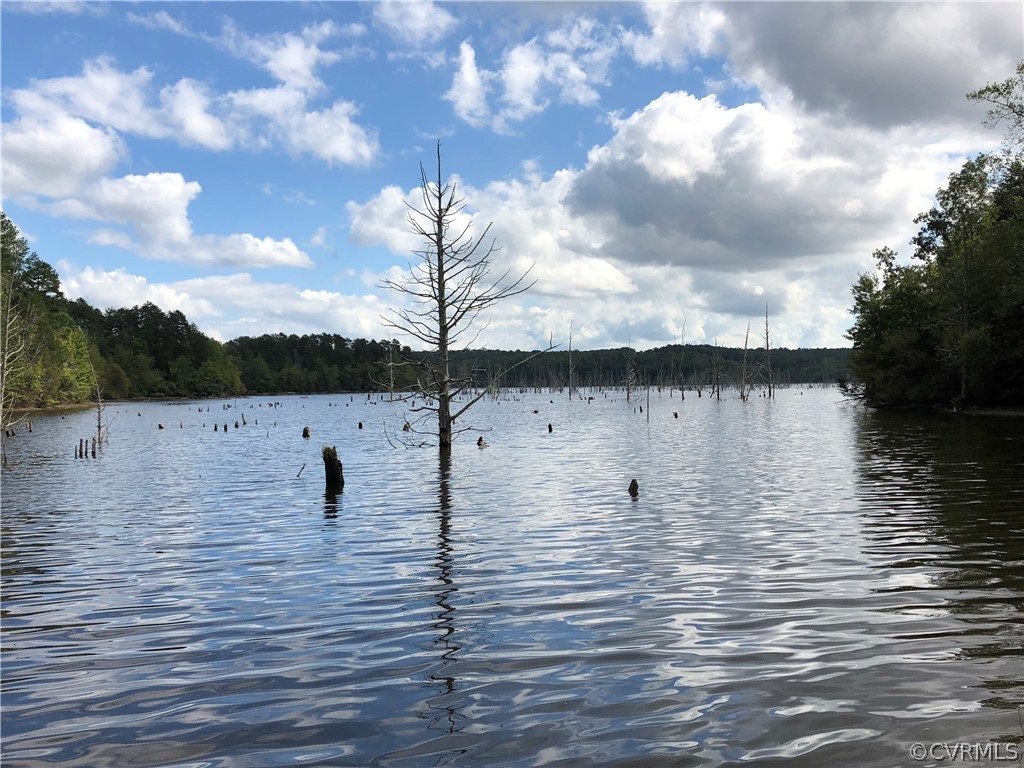 Lot 18 Lakeside Road Farmville, VA 23901 - Photo 1 of 8 a view of a lake view