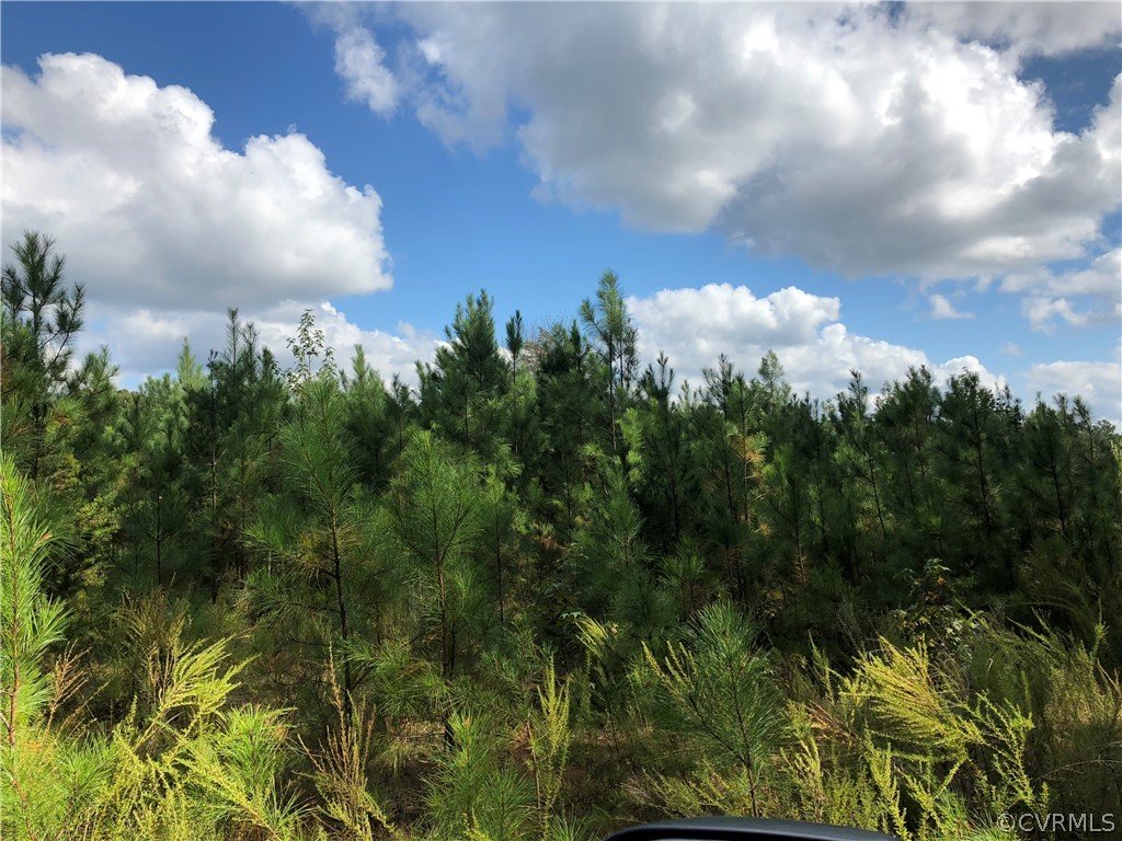 Lot 18 Lakeside Road Farmville, VA 23901 - Photo 2 of 8 a view of a bunch of trees in background