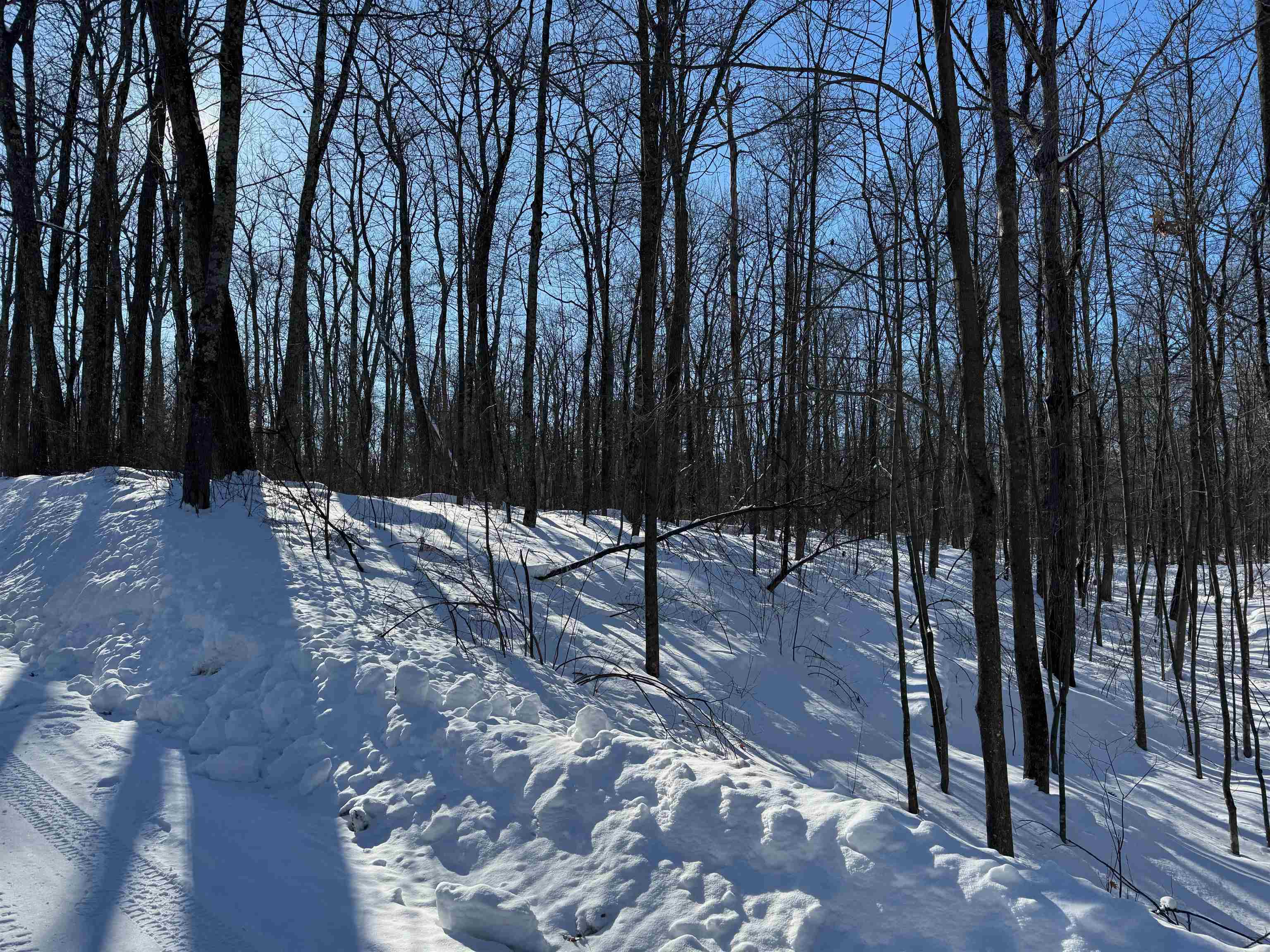 29-30 Summit Avenue Hayward, WI 54843 - Photo 6 of 12 View of yard layered in snow