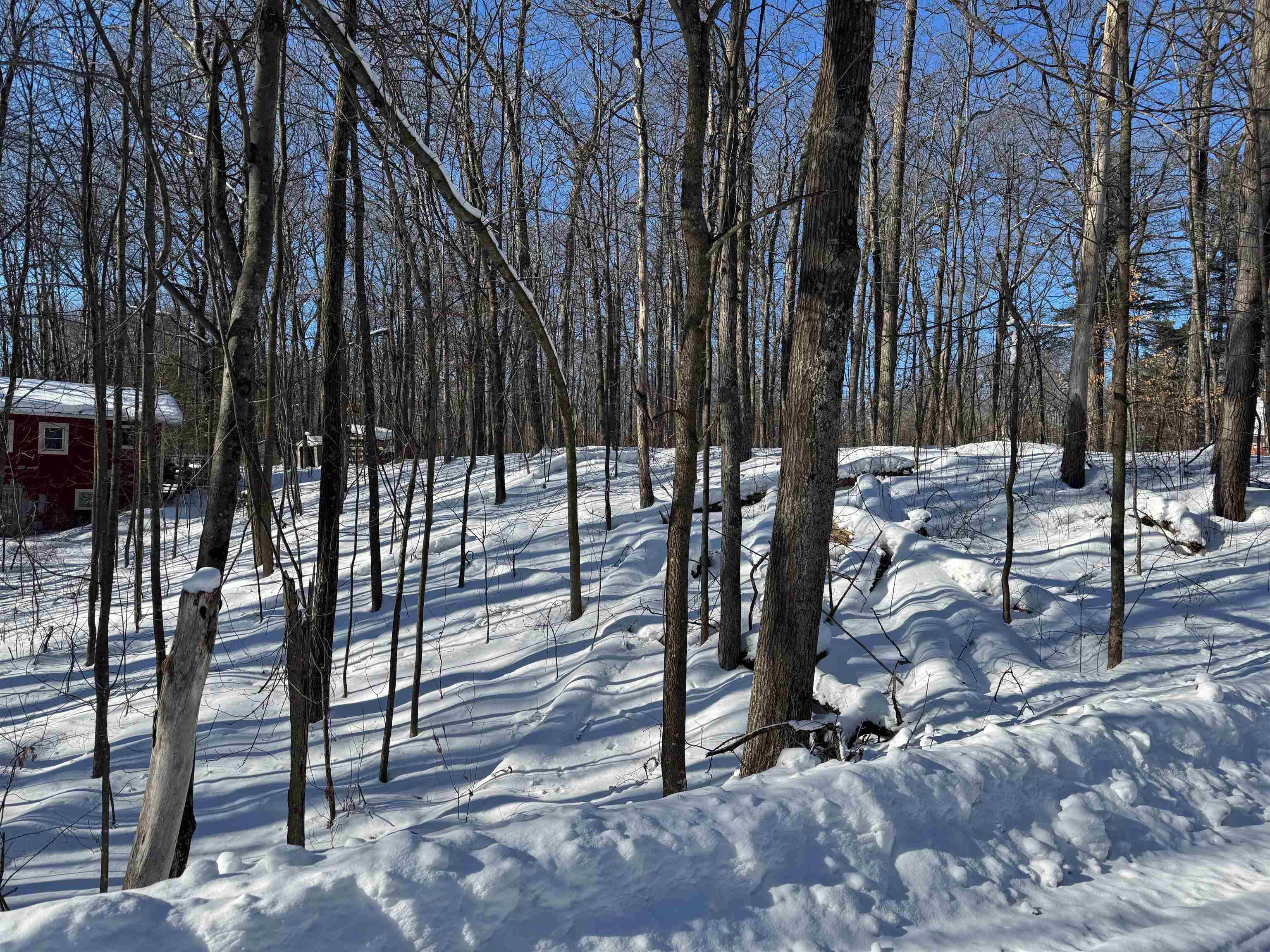 29-30 Summit Avenue Hayward, WI 54843 - Photo 7 of 12 View of yard layered in snow
