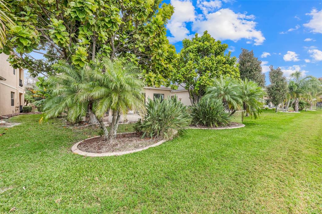 10761 Willow Ridge Loop Orlando, FL 32825 - Photo 61 of 65