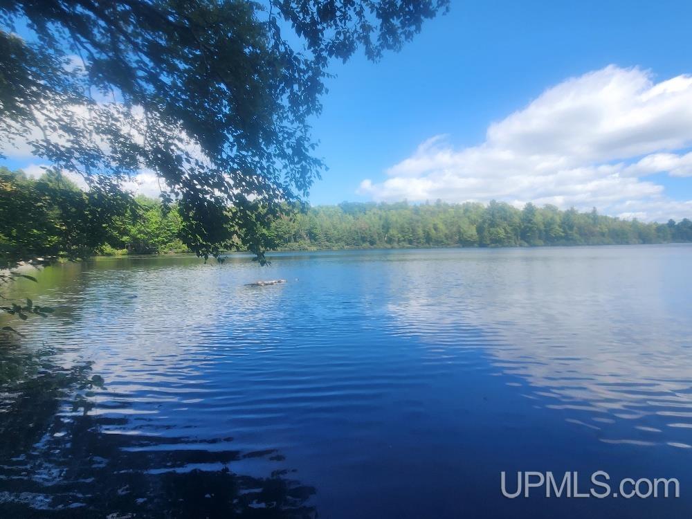 Tbd West Tamarack Lake Road, Unit LOT 5 Watersmeet, MI 49969 - Photo 36 of 66
