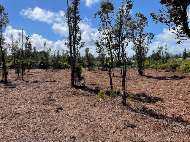 $165,000 | 15-1462 Lot 1882 8th Avenue, Keaau, HI 96749