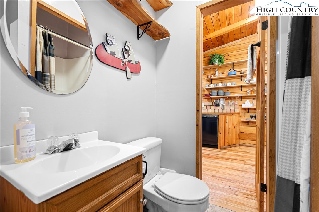 375 Winterberry Trail Boone, NC 28607 - Photo 20 of 36 a bathroom with a sink vanity mirror and toilet