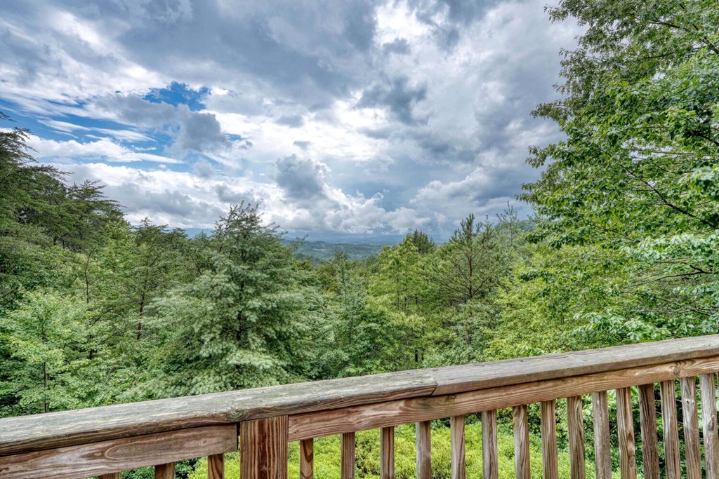 891 My Mountain Road Morganton, GA 30560 - Photo 29 of 40 Gallery Image 29