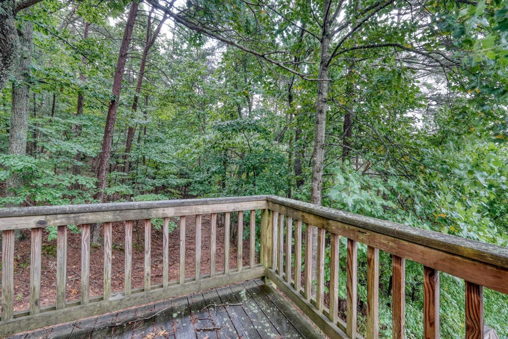 891 My Mountain Road Morganton, GA 30560 - Photo 30 of 40 Gallery Image 30