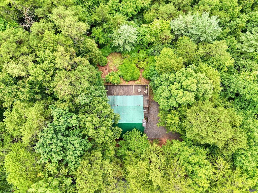 891 My Mountain Road Morganton, GA 30560 - Photo 36 of 40 Gallery Image 36
