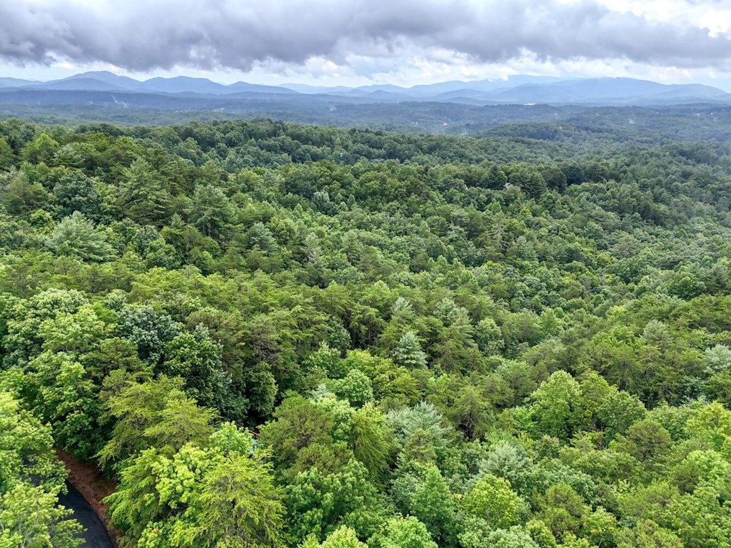 891 My Mountain Road Morganton, GA 30560 - Photo 40 of 40 Gallery Image 40
