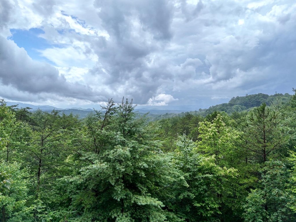 891 My Mountain Road Morganton, GA 30560 - Photo 7 of 40 Gallery Image 7