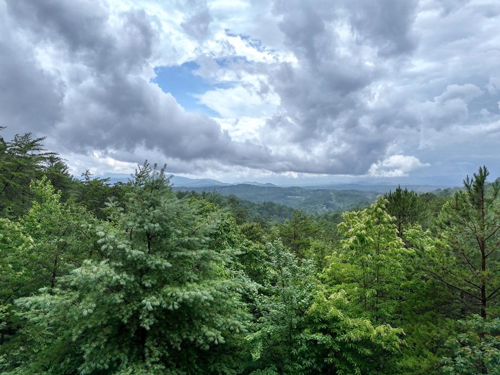 891 My Mountain Road Morganton, GA 30560 - Photo 8 of 40 Gallery Image 8