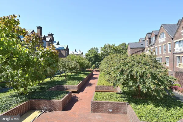 a view of a pathway that has potted plants and flower plants