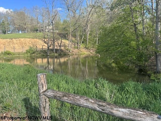 Tbd Shaffers Run Road Mill Creek, WV 26280 - Photo 11 of 43 Gallery Image 11