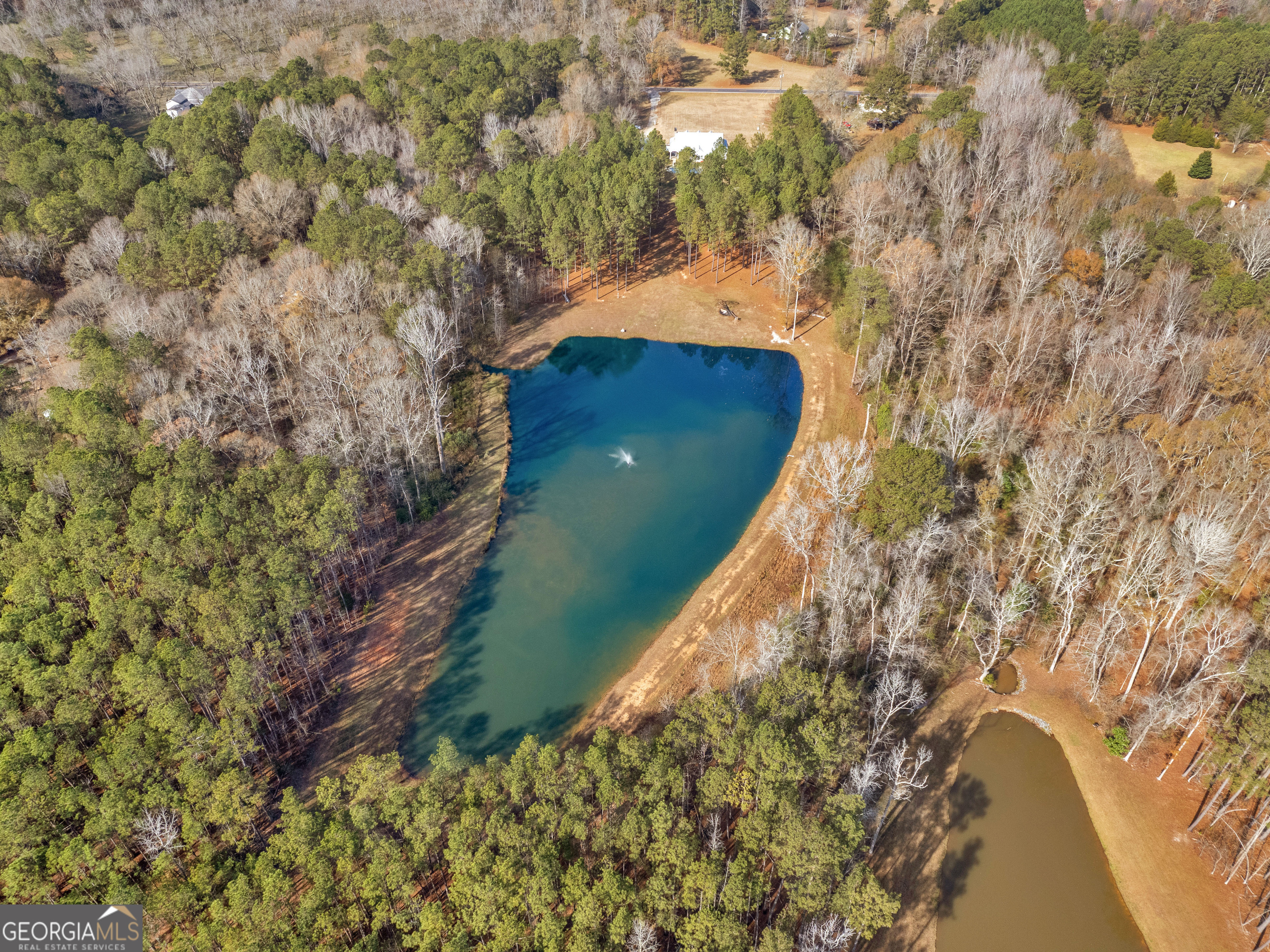 307 Weldon Lake Road Milner, GA 30257 - Photo 11 of 80