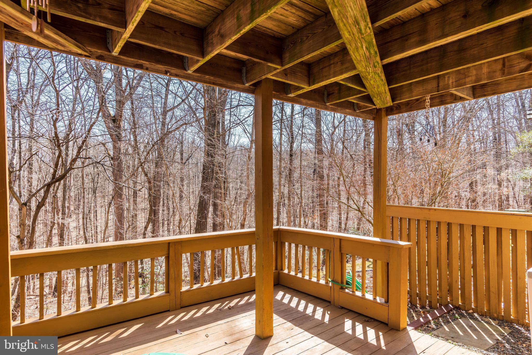 1650 Oak Spring Way Reston, VA 20190 - Photo 41 of 45 Best View! Private and quiet