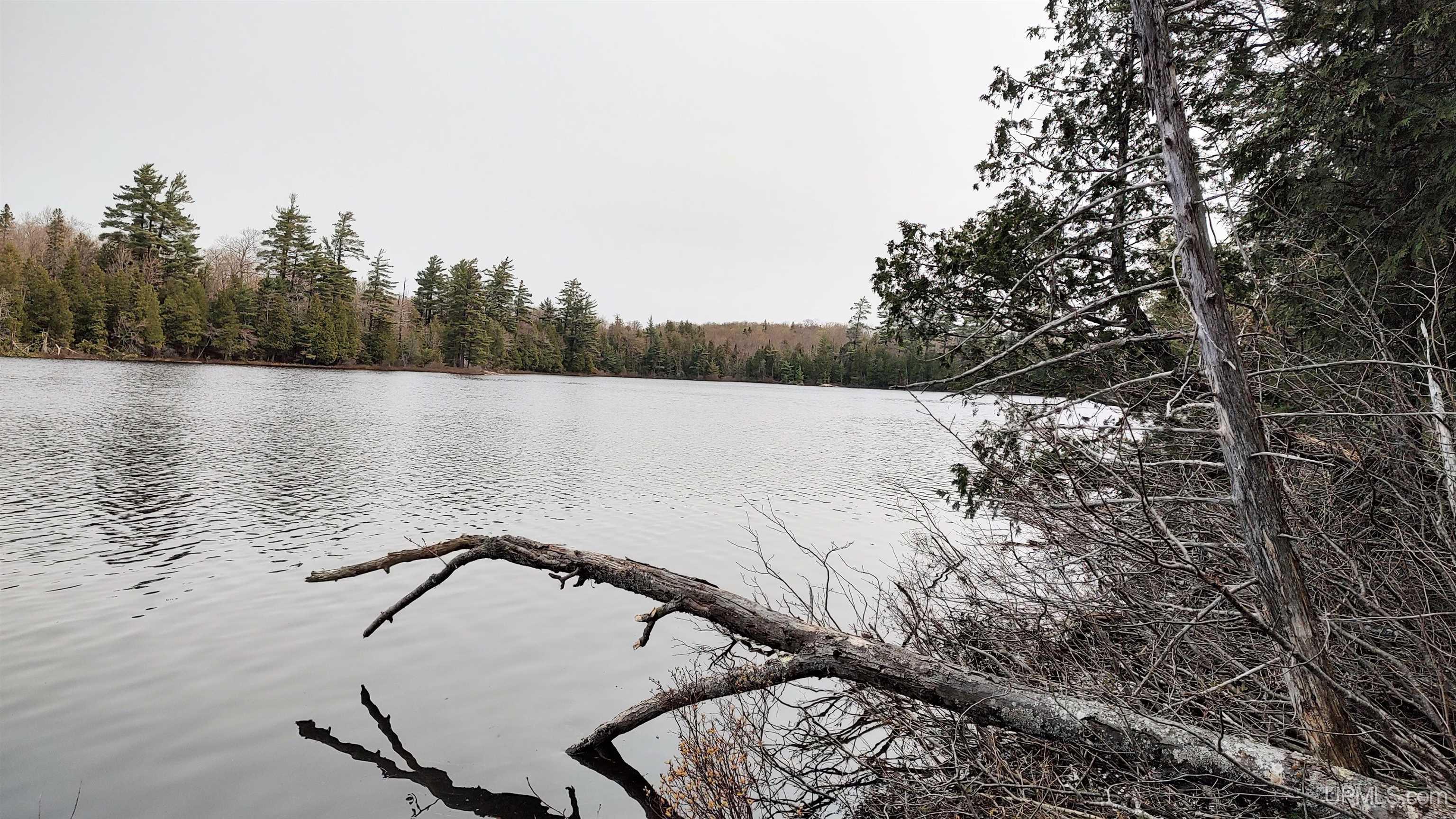 Tbd Tbd Durchman Lake Road Lanse, MI 49946 - Photo 5 of 56