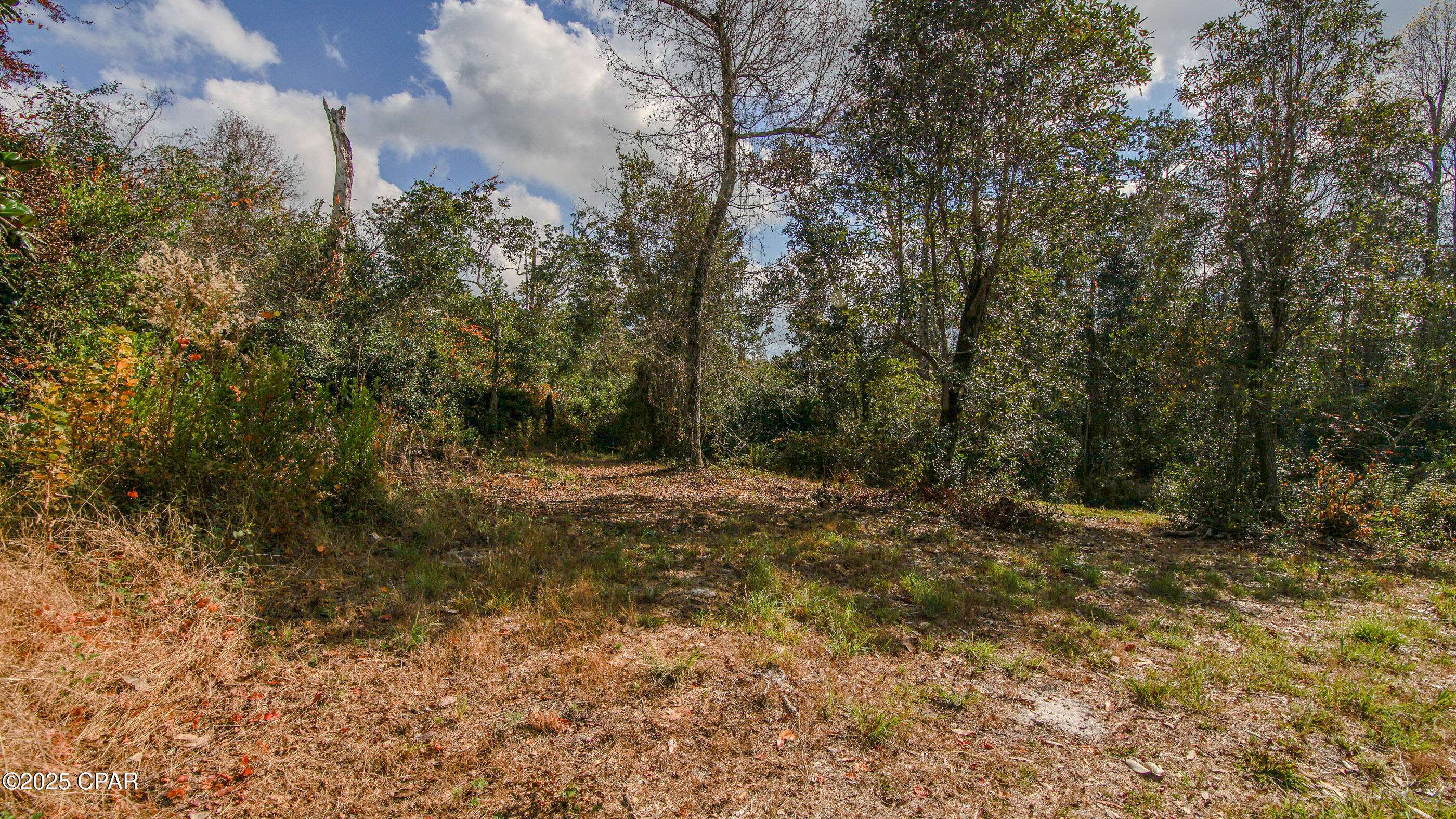 12299 Nona Wood Road Fountain, FL 32438 - Photo 19 of 21