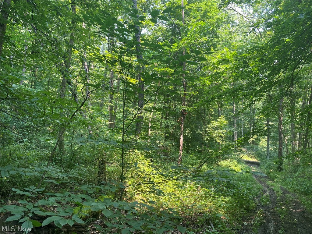 9401 Bell Run Road Adamsville, OH 43802 - Photo 26 of 27 Gallery Image 26