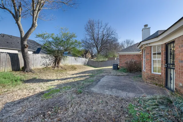 a view of a yard with a tree